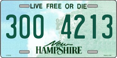 NH license plate 3004213