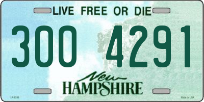 NH license plate 3004291