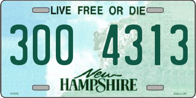 NH license plate 3004313