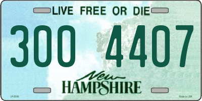 NH license plate 3004407