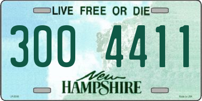 NH license plate 3004411