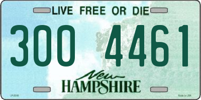 NH license plate 3004461