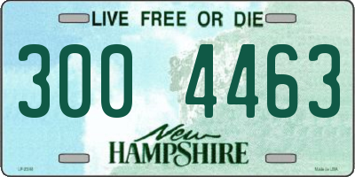 NH license plate 3004463