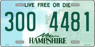 NH license plate 3004481