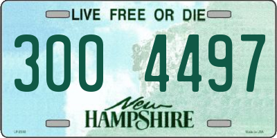 NH license plate 3004497