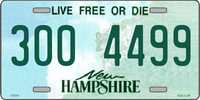 NH license plate 3004499