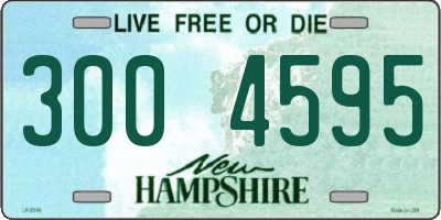 NH license plate 3004595