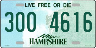 NH license plate 3004616