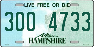 NH license plate 3004733