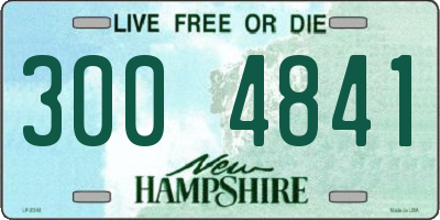 NH license plate 3004841