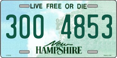 NH license plate 3004853
