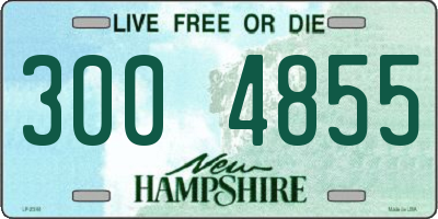 NH license plate 3004855