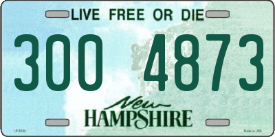 NH license plate 3004873