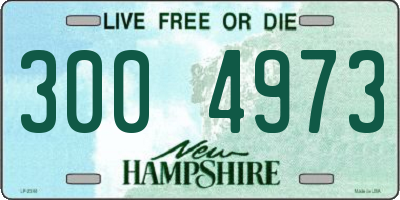 NH license plate 3004973