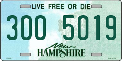 NH license plate 3005019