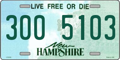 NH license plate 3005103