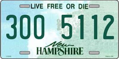 NH license plate 3005112