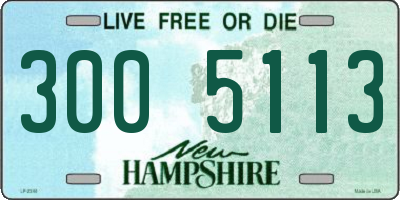 NH license plate 3005113