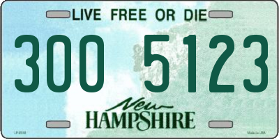 NH license plate 3005123