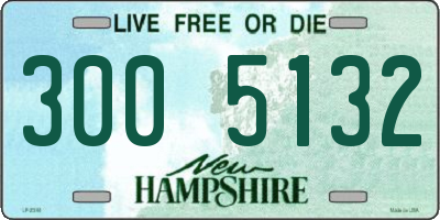 NH license plate 3005132