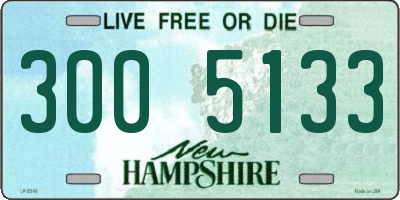 NH license plate 3005133
