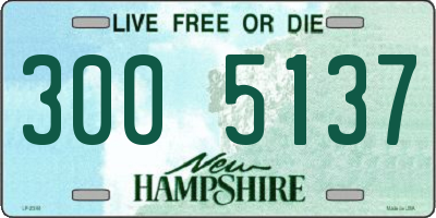 NH license plate 3005137