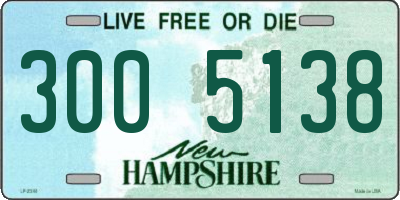 NH license plate 3005138