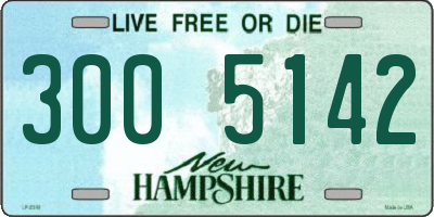 NH license plate 3005142
