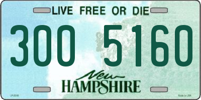 NH license plate 3005160