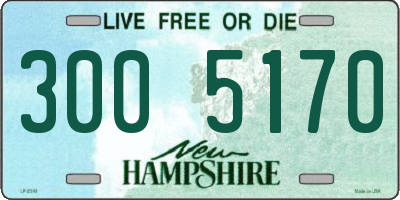 NH license plate 3005170