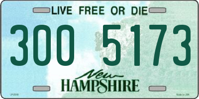 NH license plate 3005173