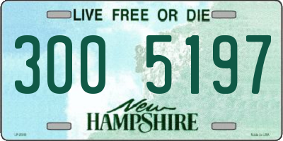 NH license plate 3005197