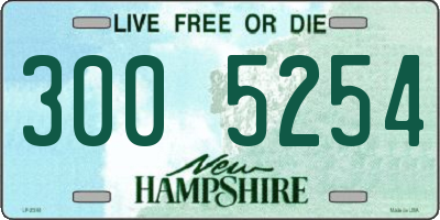 NH license plate 3005254