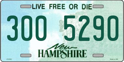 NH license plate 3005290