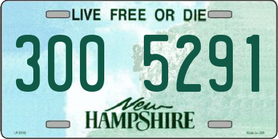 NH license plate 3005291