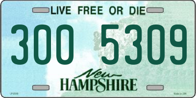 NH license plate 3005309