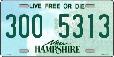 NH license plate 3005313