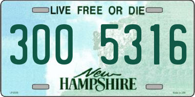 NH license plate 3005316
