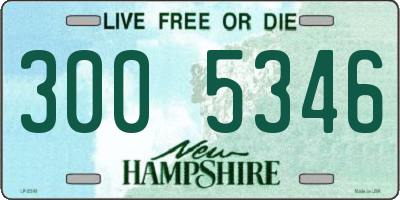 NH license plate 3005346