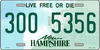 NH license plate 3005356