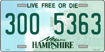 NH license plate 3005363