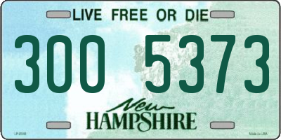 NH license plate 3005373
