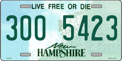NH license plate 3005423