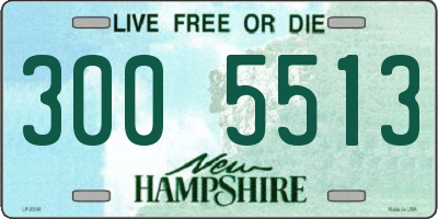 NH license plate 3005513