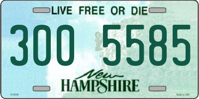NH license plate 3005585