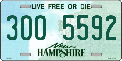NH license plate 3005592