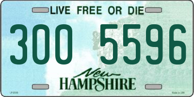 NH license plate 3005596