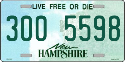 NH license plate 3005598