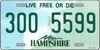 NH license plate 3005599