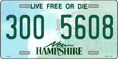 NH license plate 3005608